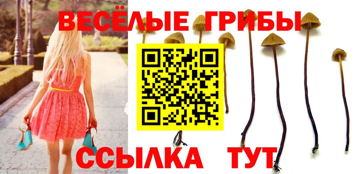 Осинники  Галлюциногенные грибы мухоморы  Вход с VPN 
